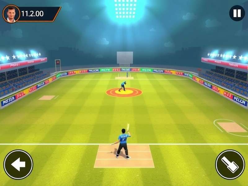 Dhobi Ghat Cricket Legend field placement strategy